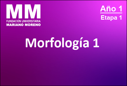 Morfología I - 1er Cuatrimestre