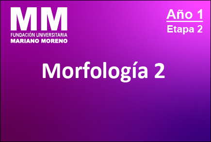 Morfología II - 2do Cuatrimestre